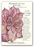 Mustard Red Giant Seed