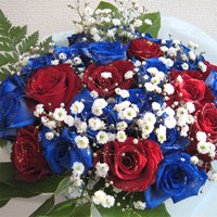 赤いバラ青いバラ　ドラマティックな輝き スタージュエリー　30本　【生花】【お祝い】記念日】【誕生日】【フラワーギフト】【バラ】