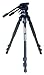 Davis & Sanford PROVISTAGR18 Tripod with FM 18 Head