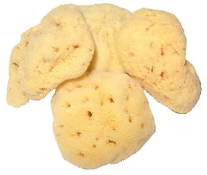 Beaming Baby Organic Baby Sea Sponge Small