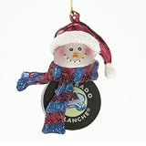 Colorado Avalanche Nhl Striped Acrylic Snowman Ornament (3)"