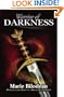 Warrior of Darkness: Heirs of a Broken Land - Book 2 (Volume 2)