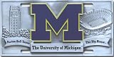 Michigan Wolverines License Plate Cover