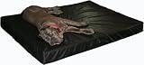 OCK9 Hospital Grade Orthopedic Memory Foam Dog Bed - Black, X-Large