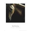 Spirit Horse Poster - 16x16"
