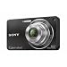Sony DSC-W350 14.1MP Digital Camera with 4x Wide Angle Zoom with Optical Steady Shot Image Stabilization and 2.7 inch LCD (Black)