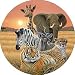 Safari Spare Tire Cover
