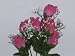 Dew Drop Rose Bud Bush-Mauve