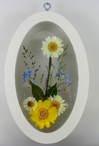 Real Preserved Flowers 88080