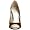 BCBGirls Women's Ariel Peep Toe Pump,Brown Sugar Patent,5.5 M US