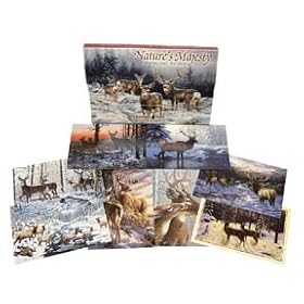 LT Nature - s Majesty Assortment Christmas Cards