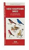 New Hampshire Birds: An Introduction to Familiar Species (State Nature Guides)
