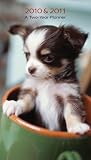 Chihuahua 
	Puppy - Checkbook 2010 Monthly (Checkbook) Calendar