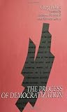 The Process of Democratization (SUNY Series in Contemporary Continental Philosophy)