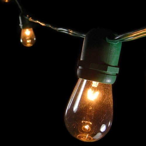 Commercial Edison String Lights, 24 Clear Bulbs, 54 ft. Green Wire