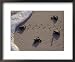 Endangered Greenback Turtle Hatchlings Entering the Sea, Yucatan, Mexico Animals Framed Art Poster Print by Kenneth Garrett, 22x18