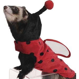 Marshall Pet Products Ladybug Costume for Ferrets