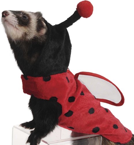 Marshall Ferret Ladybug Costume