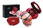 NEW 2009 48 PC LOVE MAKE UP KIT EYE SHADOW PALETTE- HEART SHAPE