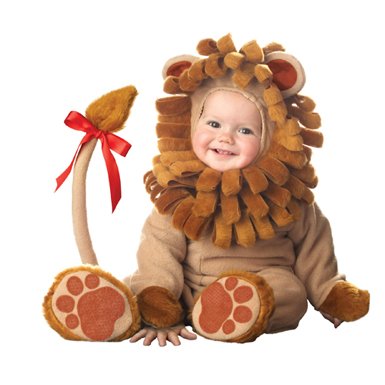 Lil' Lion Infant Halloween Costume size 12-18 Months