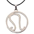 Zodiac Sign Necklace Leo Pendant Stainless Steel on Rubber Cord By Bucasi