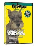 Miniature Schnauzer DVD, Dog Guide DVD, Books, Pet Accessory, Home & Garden