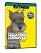   - Miniature Schnauzer DVD, Dog Guide DVD, Books, Pet Accessory, Home & Garden