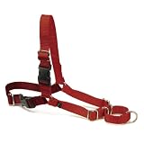 Premier Easy Walk Dog Harness Red Medium Picture