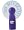 Kansas State Wildcats