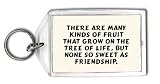 There are many kinds of fruit that grow on the tree of life, but none so sweet as friendship. Keychain