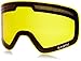 Dragon Alliance NFX Ski Goggles