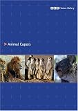 Animal Capers