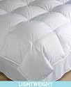 Blue Ridge Home Fashions Grand Appalachian Full/Queen Down Comforter, White