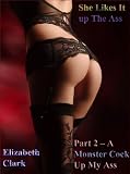 She Likes It up The Ass - Part 2 - A Monster Cock Up My Ass
