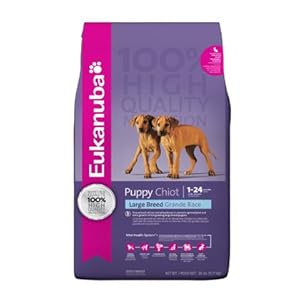 Eukanuba Large Breed Puppy Dry Food 16.5 lb bag