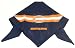 Chicago Bears Pet Bandana, Small