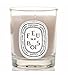 Feu de Bois (Firewood) Mini Candle 70 g by Diptyque