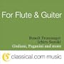 Fantasy for Flute and Guitar, Op. 337 - Introduzione