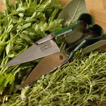 Herb Snip Miniature Shears by Burgon & Ball