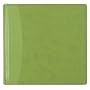 CR Gibson Heritage Fashion Wasabi Post-bound Magnetic Page Photo Album