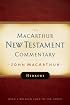 Hebrews: New Testament Commentary (MacArthur New Testament Commentary Series)