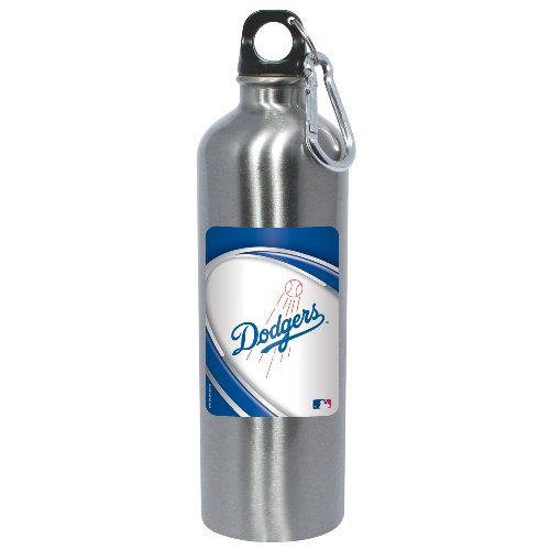 MLB Los Angeles Dodgers Stainless Steel Water Bottle at Amazon.com