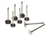 Evergreen IEV8000 Suzuki G13A G13BA SOHC 8-Valves Intake & Exhaust Valves