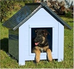 New Age Pet All-Weather Insulated Dog Bunk House, Blue/Grey, Large, For Pets up to 120 Pounds