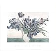 Vincent Van Gogh (Vase of Irises) Art Poster Print - 20x16