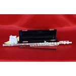 SAVE $140 - Conductor Model 250 Sterling Silver Plated Flute w/ Deluxe Leather Style Case, 1 Year Warranty $109.99