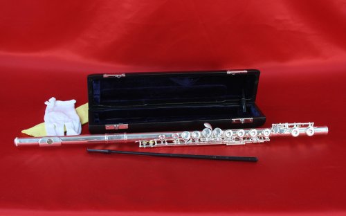 Childrens Toyshop  Musical Instruments : Conductor Sterling Silver Plated Flute w/ Deluxe Leather Style Case, 1 Year Warranty
