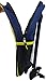 Accessory Innovations Despicable Me Gru's Minions Backpack
