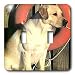 Dogs Labrador Retriever - Yellow Labrador Lab - Light Switch Covers - double toggle switch