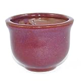 7cm Round Red/Purple Accent Plant or Succulent Pot